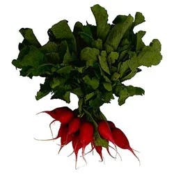 Radishes Red Bunch
