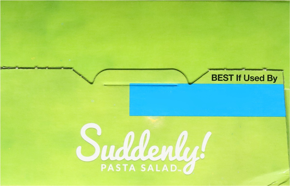 slide 8 of 13, Suddenly! Classic Pasta Salad Twin Pack 15.5 oz, 2 ct