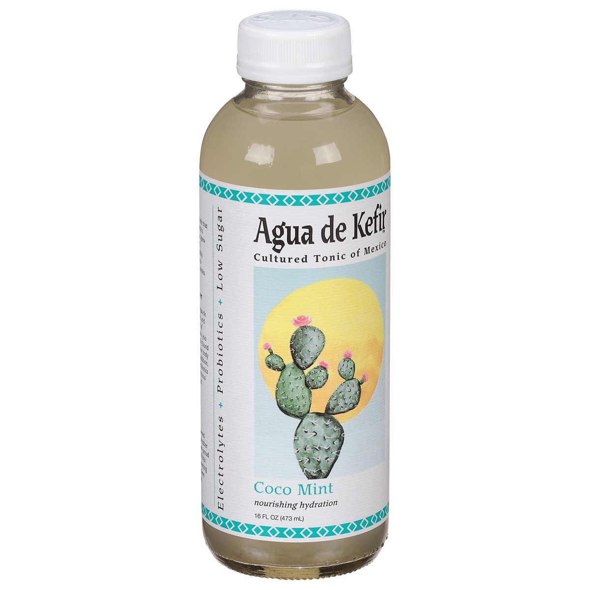 slide 2 of 9, GT's Agua de Kefir Coco Mint Cultured Tonic of Mexico 16 fl oz, 16 fl oz