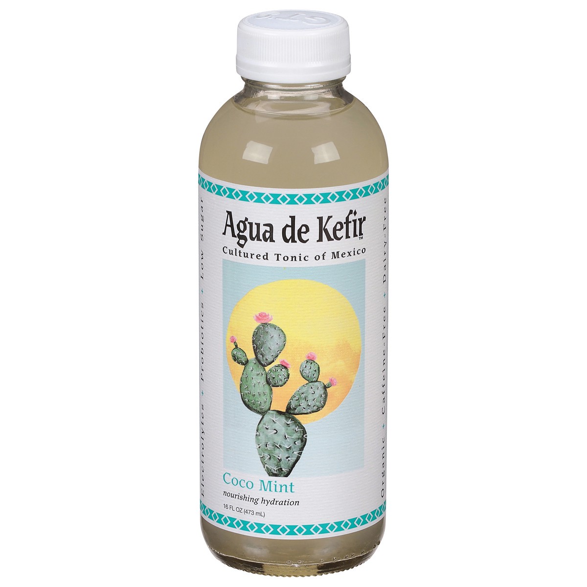 slide 1 of 9, GT's Agua de Kefir Coco Mint Cultured Tonic of Mexico 16 fl oz, 16 fl oz