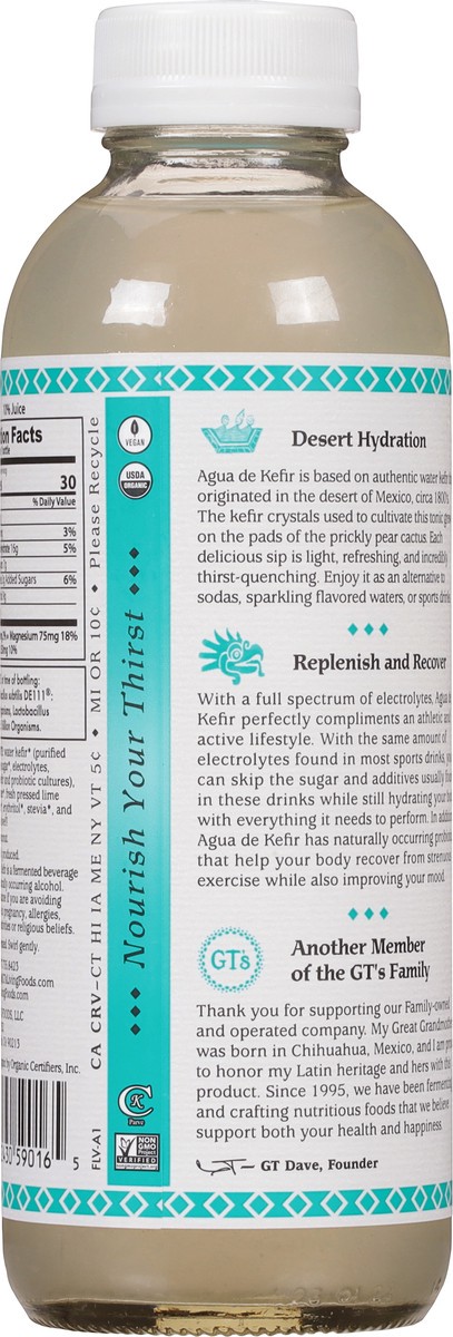 slide 5 of 9, GT's Agua de Kefir Coco Mint Cultured Tonic of Mexico 16 fl oz, 16 fl oz