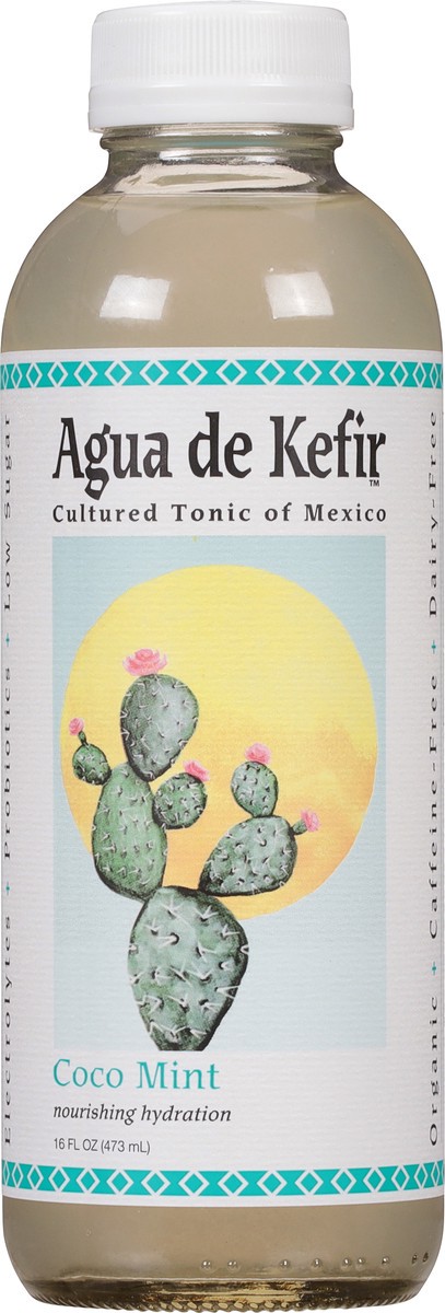 slide 7 of 9, GT's Agua de Kefir Coco Mint Cultured Tonic of Mexico 16 fl oz, 16 fl oz