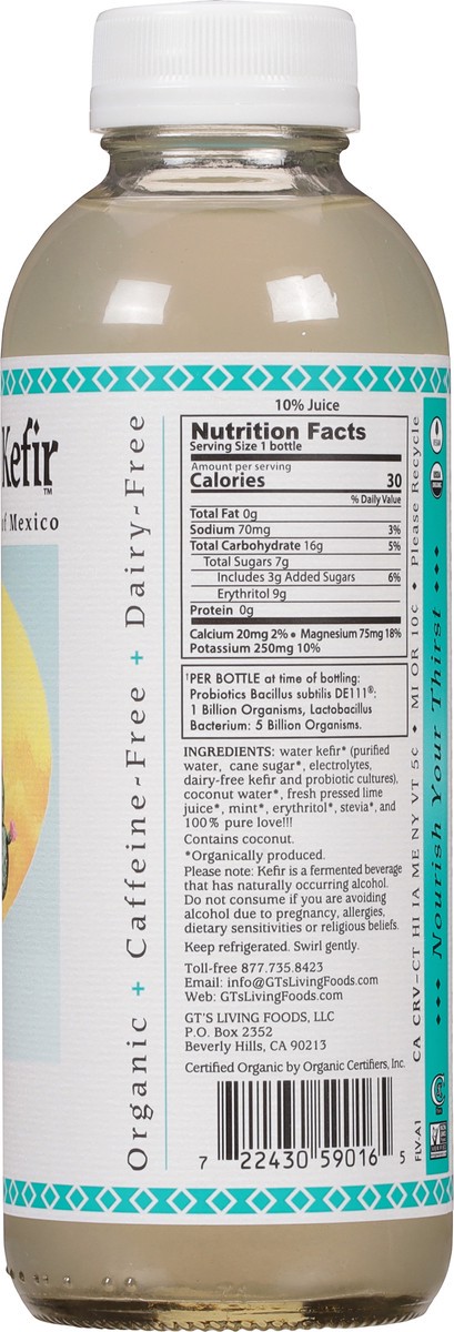 slide 3 of 9, GT's Agua de Kefir Coco Mint Cultured Tonic of Mexico 16 fl oz, 16 fl oz