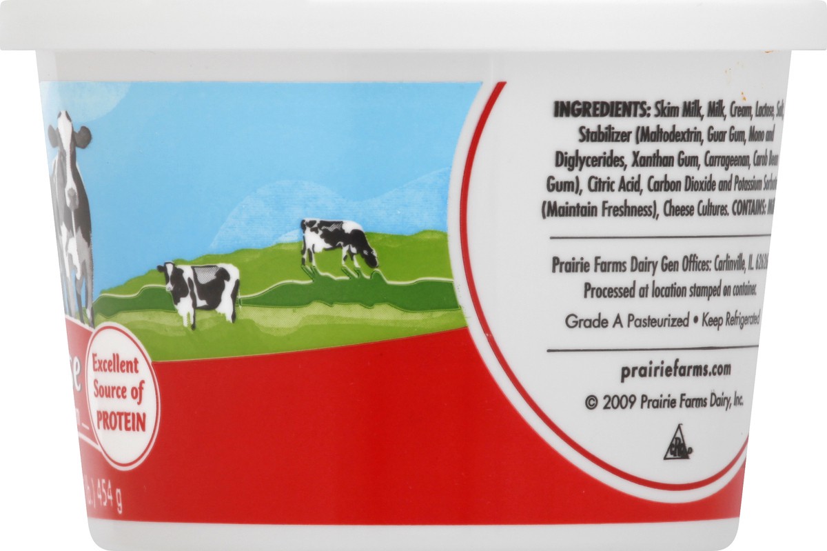 slide 9 of 12, Prairie Farms Small Curd 4% Milkfat Minimum Cottage Cheese 16 oz, 16 oz