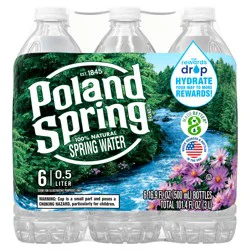 Poland Spring Maine Spring Water, 16.9 fl oz bottles (Pack of 6)