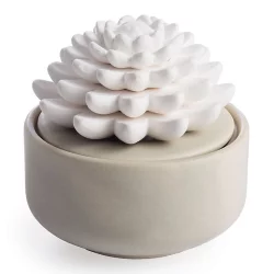 Airomé Airome Succulent Ess Oil Diffuser