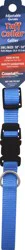 Coastal Pet Products Adjustable Dog Collar with Plastic Buckle, Blue Lagoon, Small - 5/8" x 10"-14"