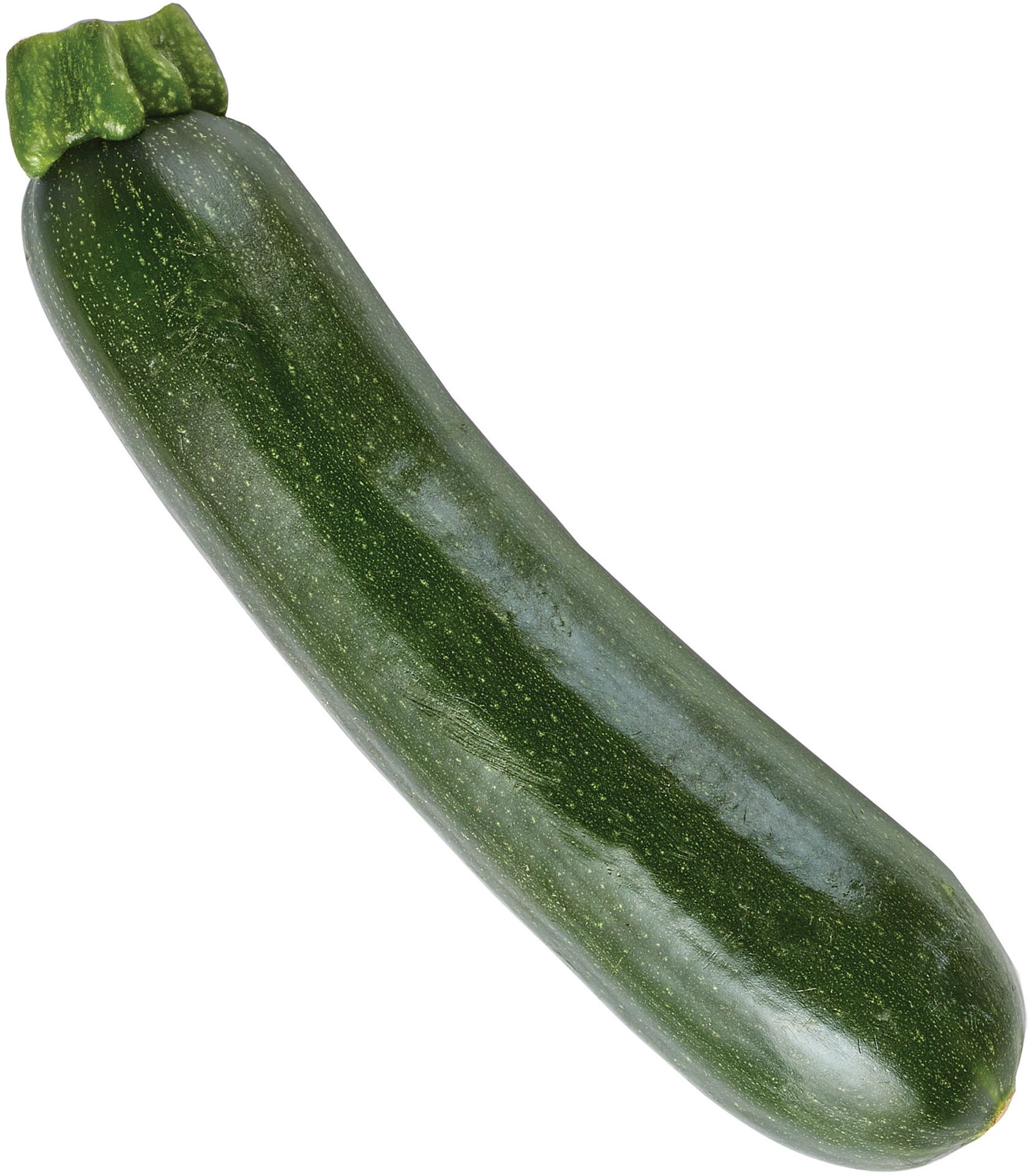 slide 1 of 1, Fresh Zucchini Squash, 1 ct
