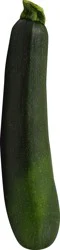 Fresh Zucchini Squash