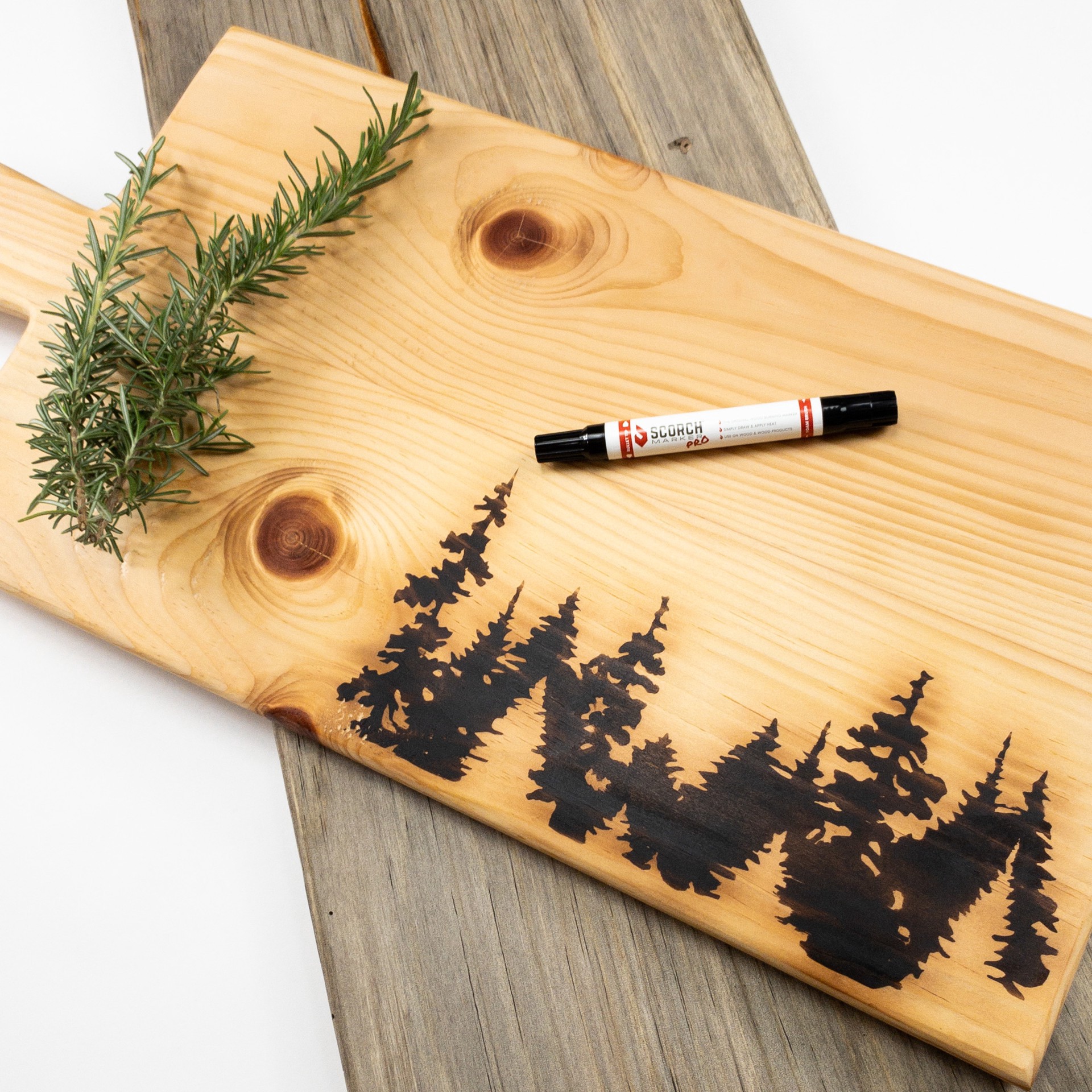 slide 3 of 11, Scorch Marker Pro, 2 in 1: comes with a bullet tip and foam brush