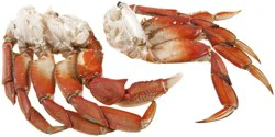 Dungeness Crab Clusters