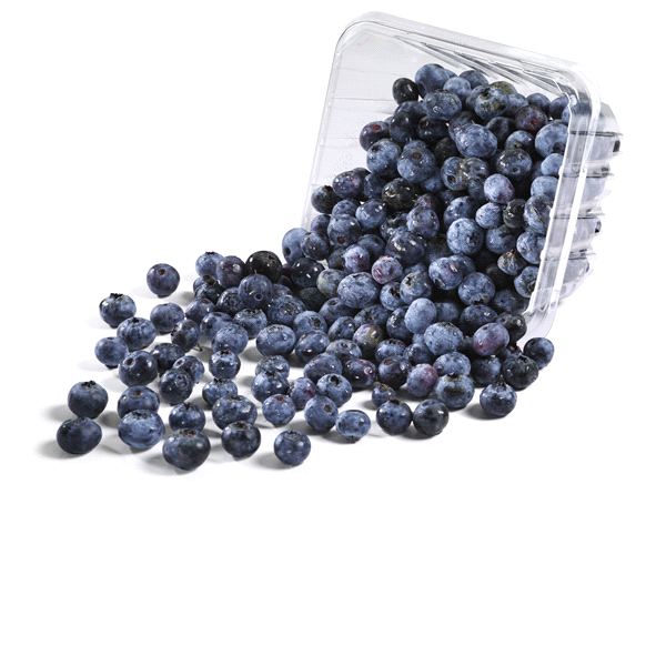 slide 1 of 1, Blueberries Prepacked, 1 pint