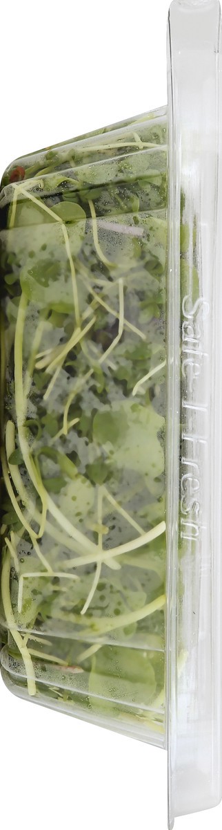 slide 4 of 4, Rock Garden Micro Greens 1 oz, 1 oz