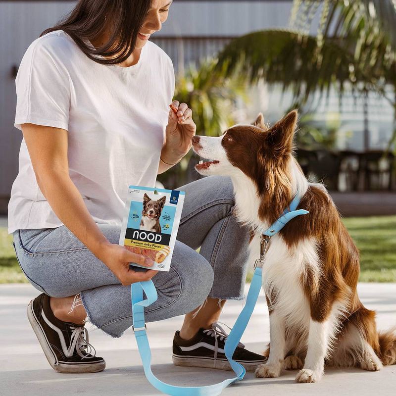 slide 5 of 6, NOOD Pet Food Chicken Flavor Jerky Adult Dog Treats Sticks - 6oz, 6 oz