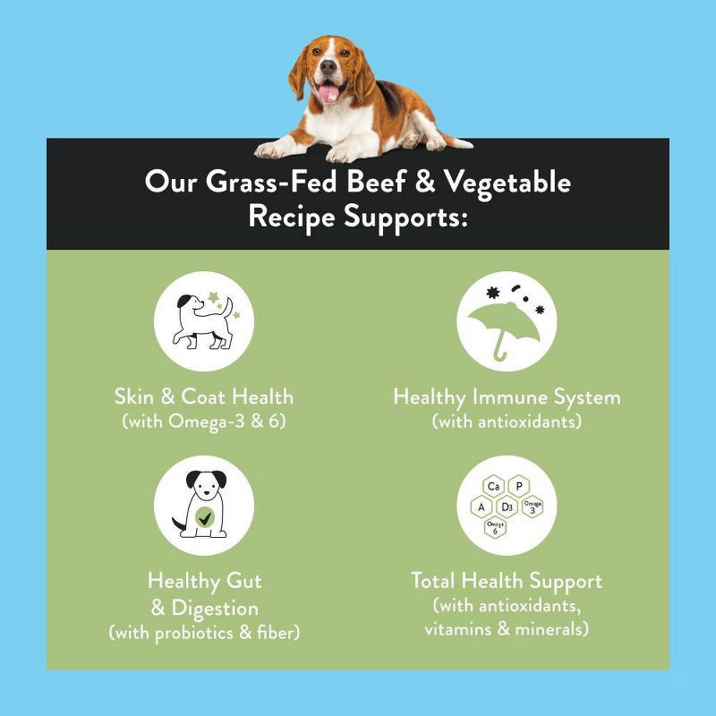 slide 2 of 8, NOOD Pet Food Adult Dry Dog Food with Beef Flavor - 6lbs, 6 lb