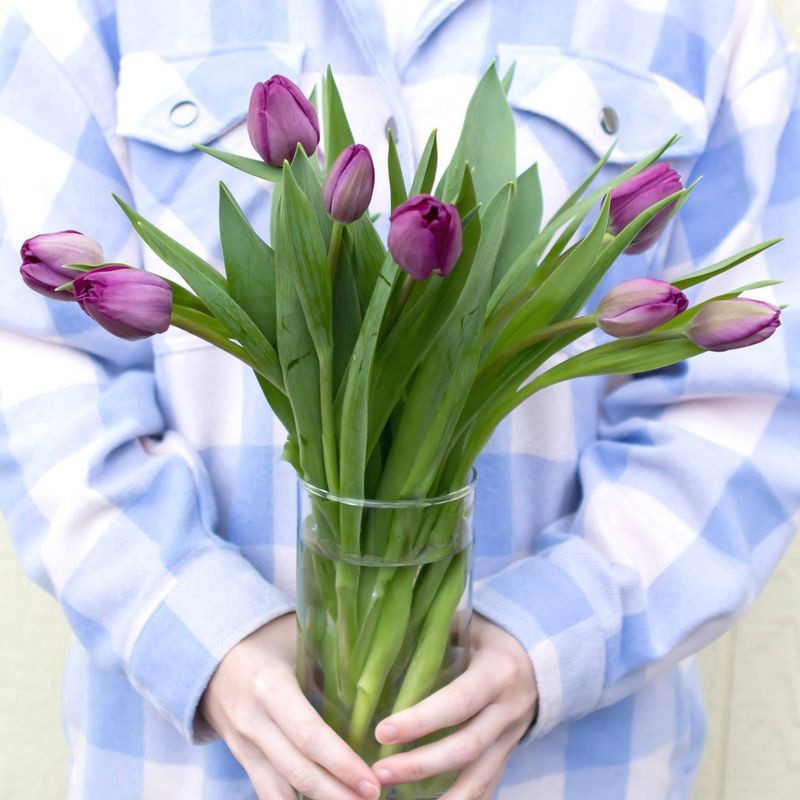 slide 3 of 6, Fresh Cut 10-stem Purple Tulip Flowers - Spritz™, 1 ct