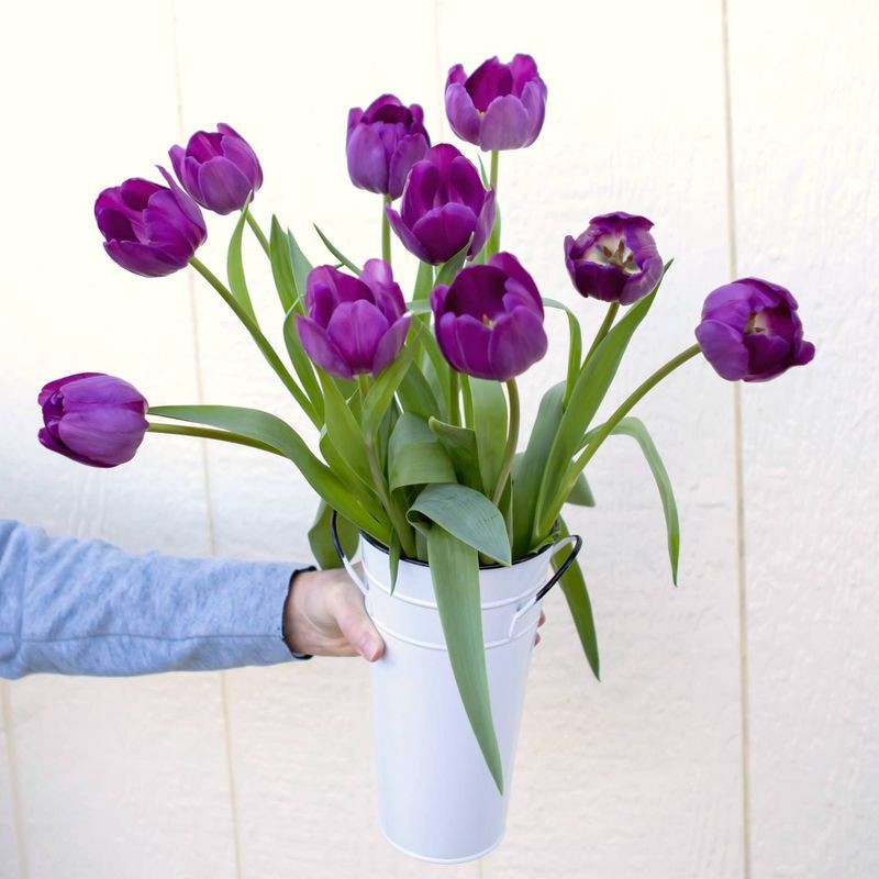 slide 6 of 6, Fresh Cut 10-stem Purple Tulip Flowers - Spritz™, 1 ct