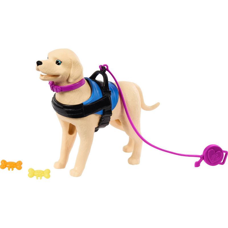 slide 5 of 6, Barbie Brunette Fashion Doll & Service Dog Playset with Wheelchair, Ramp & Accessories (Target Exclusive), 1 ct