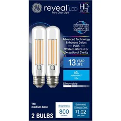 GE Household Lighting GE 2pk 60W Reveal T10 LED Light Bulbs