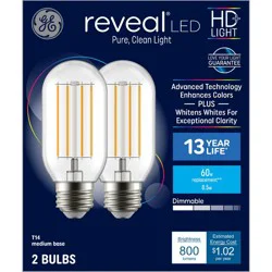 GE Household Lighting GE 2pk 60W Reveal T14 LED Light Bulbs