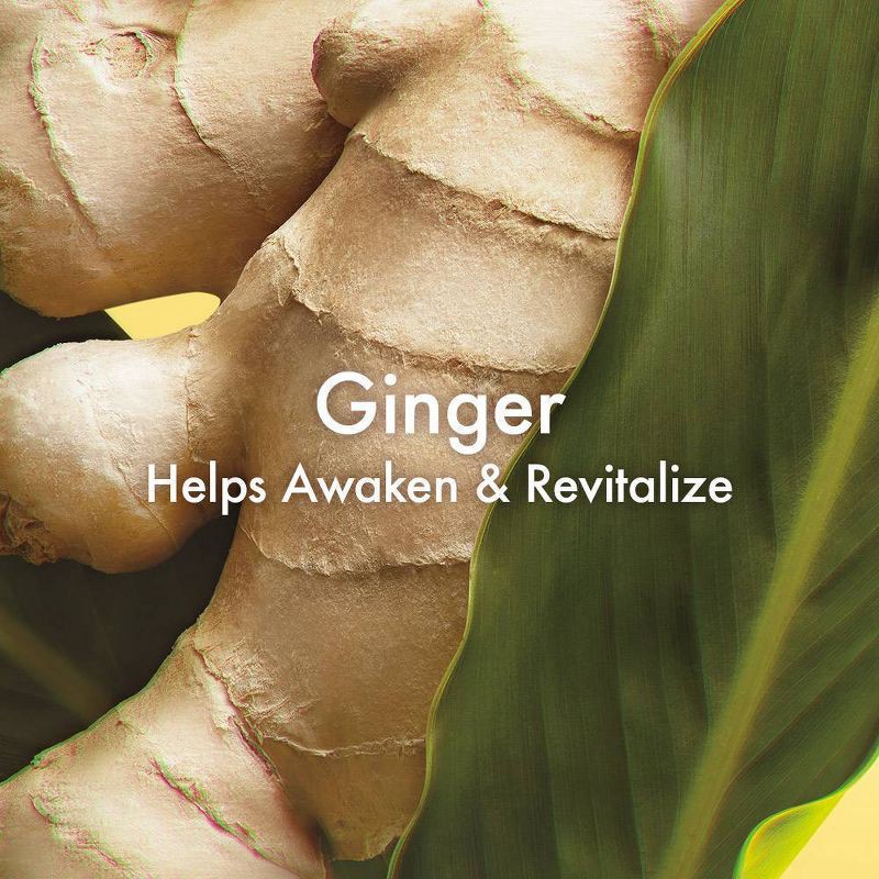 slide 3 of 3, Origins Ginger Hand & Body Lotion - 2.5 fl oz - Ulta Beauty, 2.5 fl oz