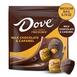 Dove Chocolate Dove Promises Milk Chocolate & Caramel Candy - 6.74oz