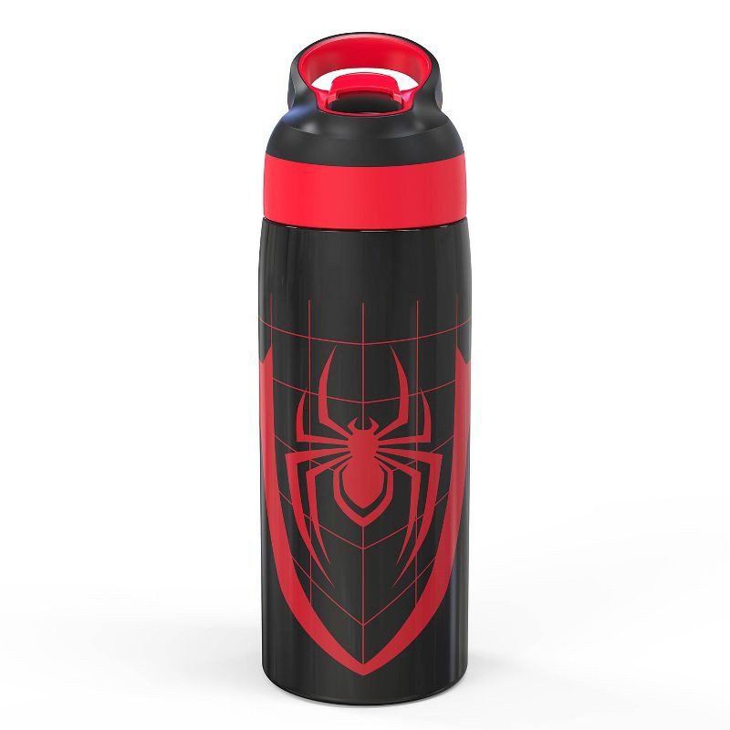 slide 1 of 6, Zak Designs 19 fl oz Stainless Steel Vacuum Insulated Riverside Spider-Man Water Bottle: Kids & Boys Drinkware, Dishwasher-Safe, 19 fl oz
