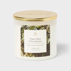 3-Wick Lidded Glass Jar Candle Water Mint and Eucalyptus 19oz - Threshold™
