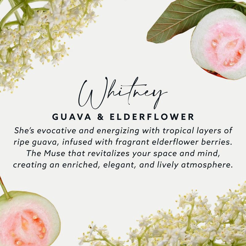 slide 6 of 7, Maison&Muse 2pk Car Air Fresheners Guava and Elderflower Vent Clips, 2 ct