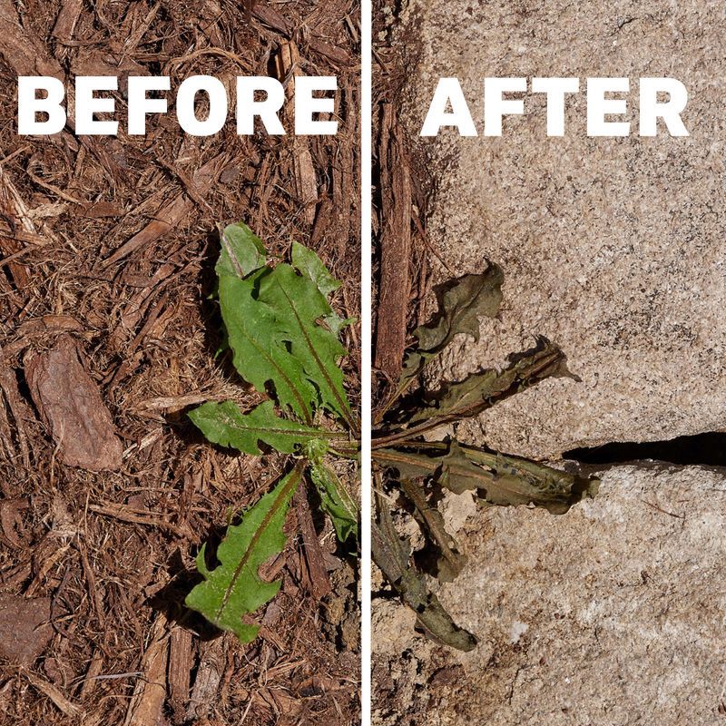 slide 5 of 13, Spruce Weed and Grass Killer Powered Starter Kit 64oz, 64 oz