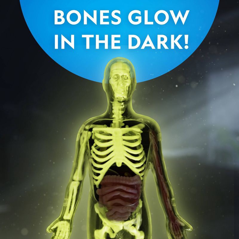slide 6 of 7, National Geographic Glow-In-The-Dark Human Body: Science Kit & Activity Guide for Anatomy Learning, 1 ct