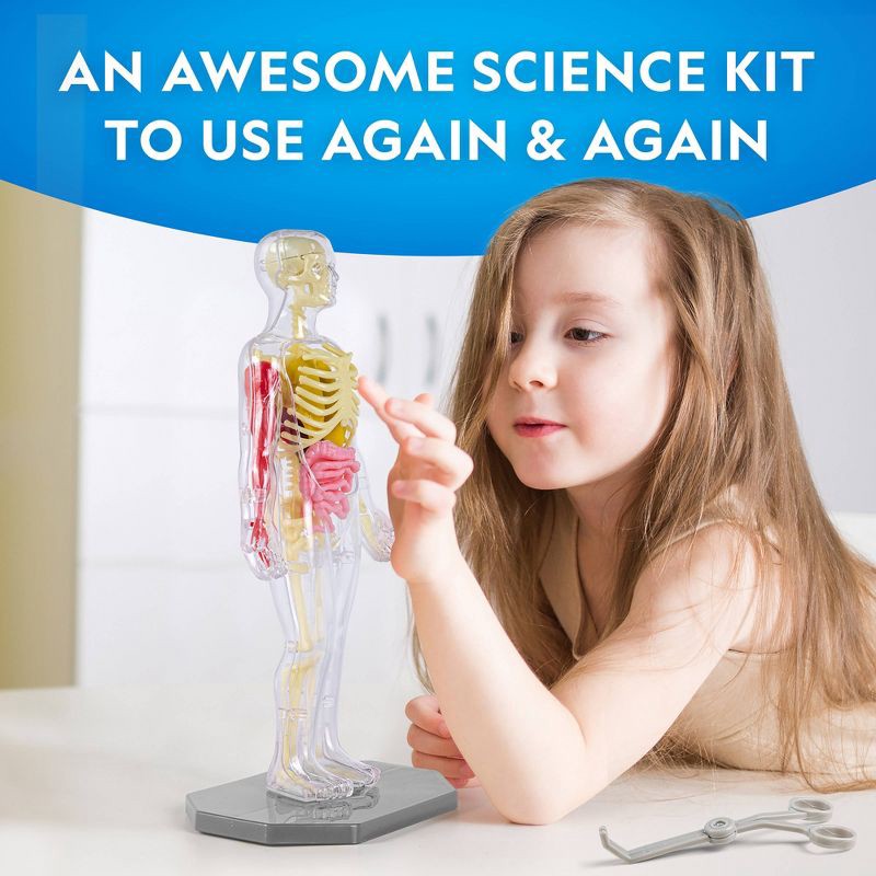 slide 7 of 7, National Geographic Glow-In-The-Dark Human Body: Science Kit & Activity Guide for Anatomy Learning, 1 ct