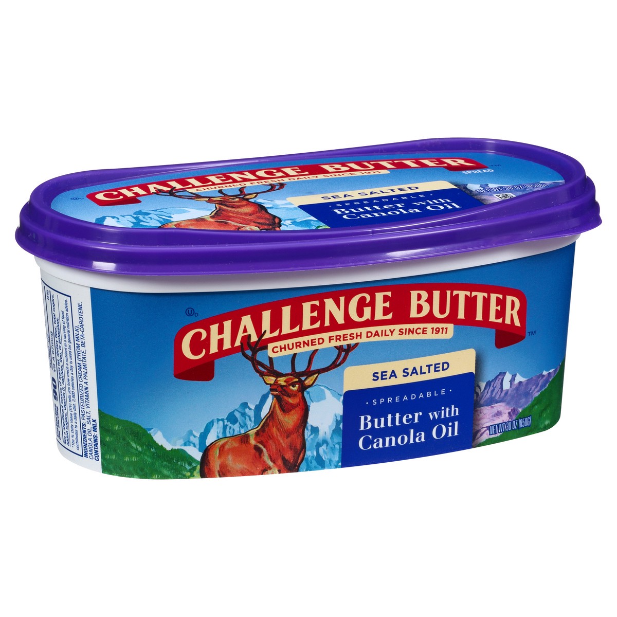 slide 1 of 11, Challenge Dairy Spreadable With Canola Oil Sea Salted Butter 30 oz, 30 oz