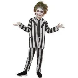 Warner Bros. Kids' Beetlejuice Beetlejuice Halloween Costume L: Boys Jumpsuit, TV Movie Character, Ages 9-14
