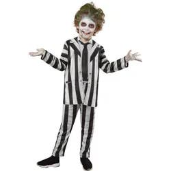 Warner Bros. Kids' Beetlejuice Beetlejuice Halloween Costume L: Boys Jumpsuit, TV Movie Character, Ages 9-14