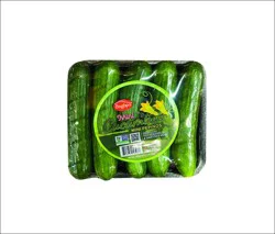 Bogopa Cucumber Persian