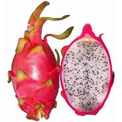 Fresh Dragon Fruit - each
