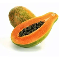 Fresh Tainung Papaya - each