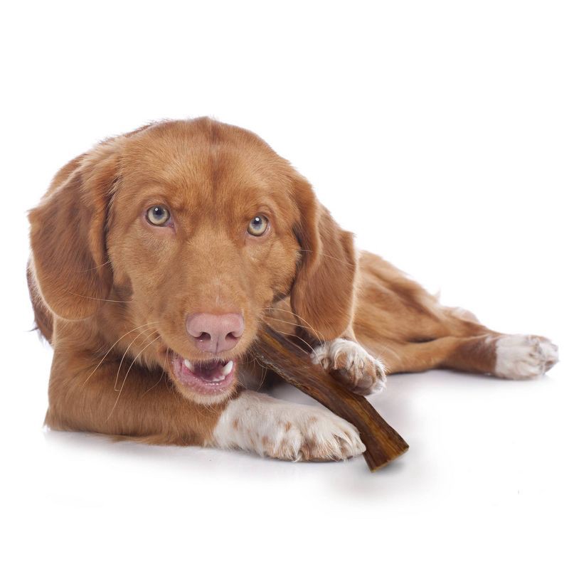 slide 4 of 6, Cadet 100% Beef Strips Dog Treats - 8oz, 8 oz