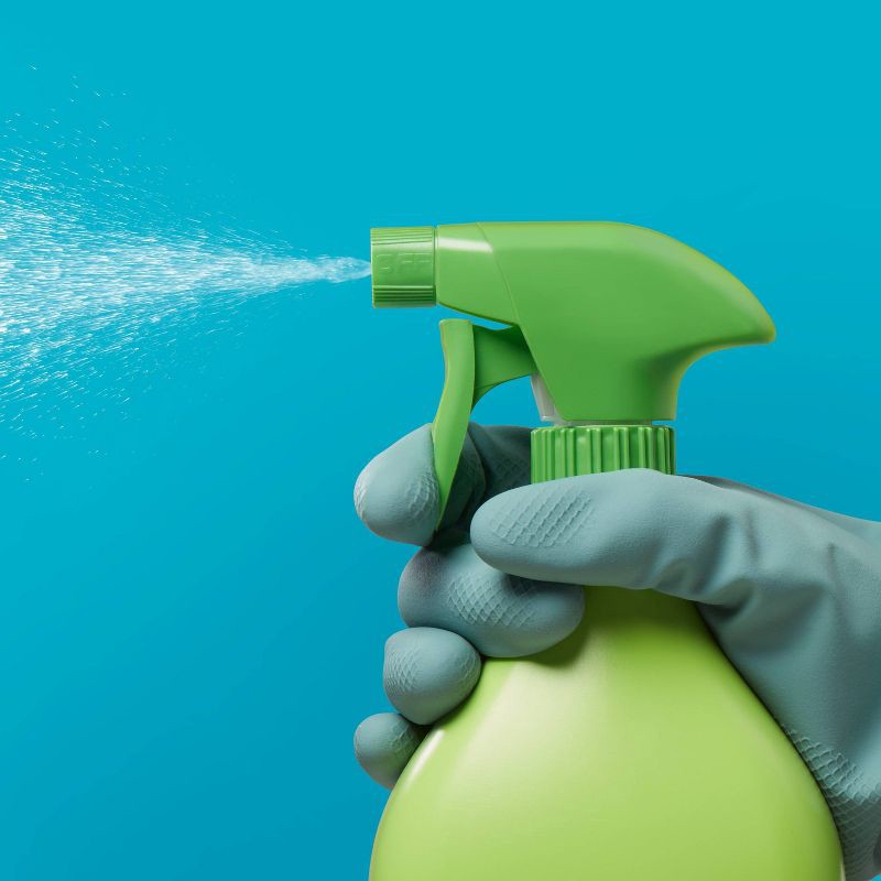 slide 2 of 4, All Purpose Disinfecting Cleaner with Bleach - 32 fl oz - up&up™, 32 fl oz
