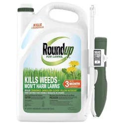 Roundup For Lawns Northern Ready to Use Extended Wand Herbicide - 1gal : Weed & Root Eliminator, 3-Month Control, Rainproof