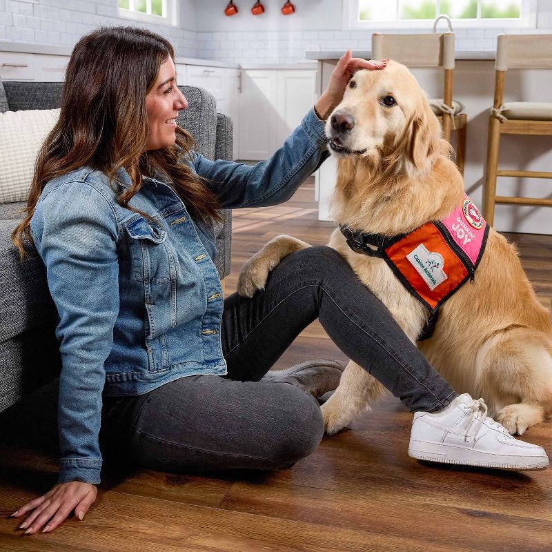 slide 2 of 9, Milk-Bone Dunkin Donut Vanilla Glaze Flavor Dipped Crunchy Dog Treats - 8oz, 8 oz