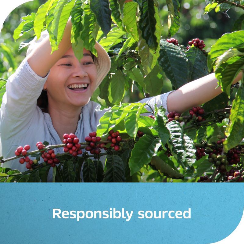 slide 7 of 8, Nescafe Iced Roast - 6oz, 6 oz