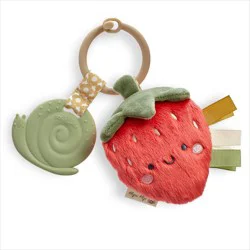 Itzy Ritzy Pal Teether - Strawberry