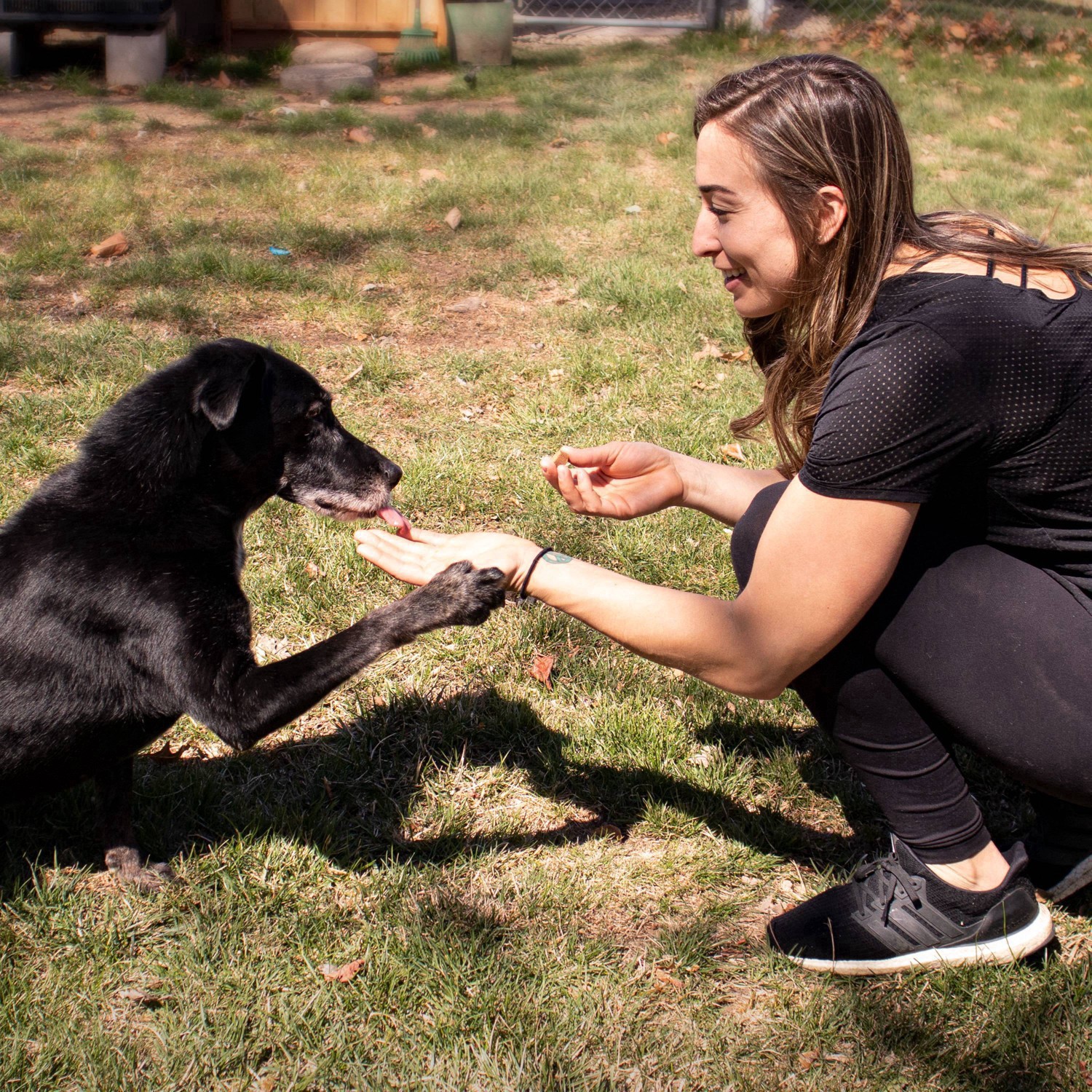 slide 12 of 13, VetIQ Hip & Joint Dog Chew Chicken 60ct, 60 ct