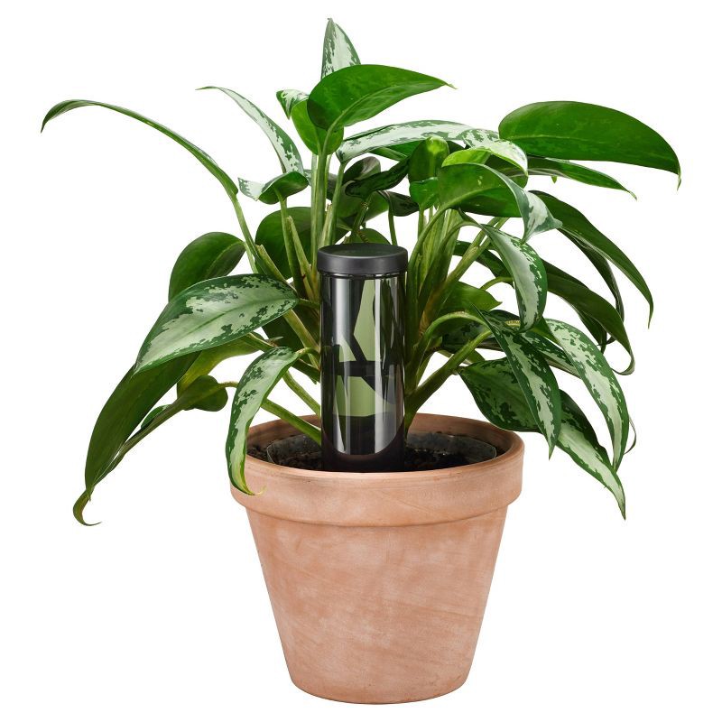 slide 3 of 11, Fiskars Away Watering Cone Drip Irrigator, 1 ct