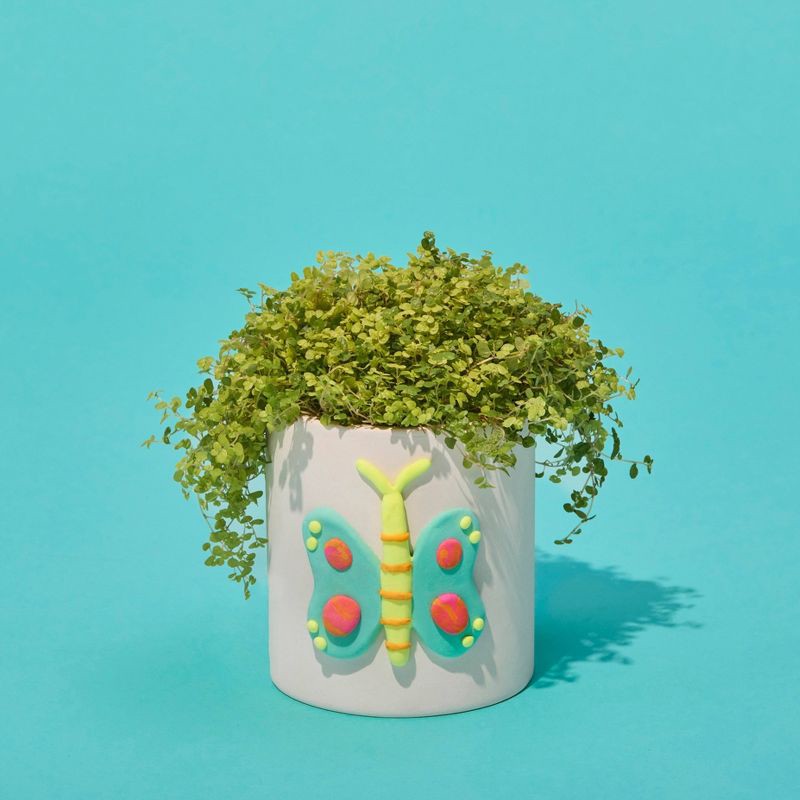 slide 7 of 10, Mud Puddle Society 9pc Clay Ceramic Planter Garden Art Kit, 9 ct