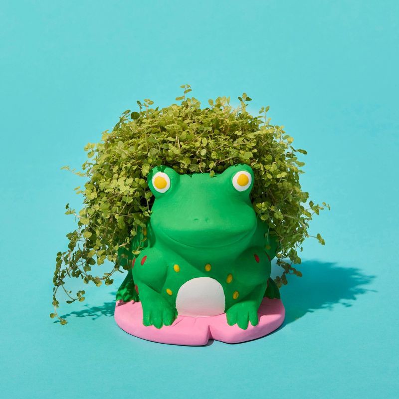 slide 2 of 7, Mud Puddle Society 9pc Frog Planter Garden Art Kit, 9 ct