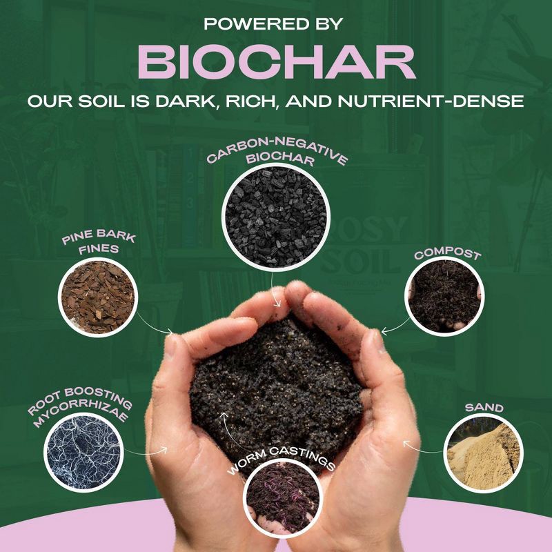 slide 4 of 10, Rosy Soil 4qt Seedling Mix, 4 qt