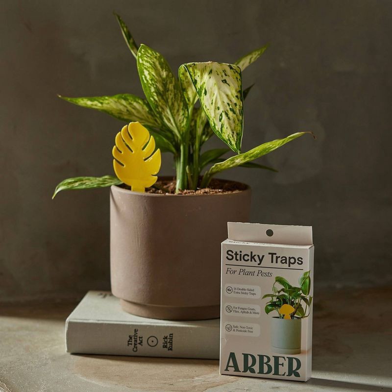slide 2 of 8, Arber 16pk Houseplant Sticky Insect Traps, 16 ct